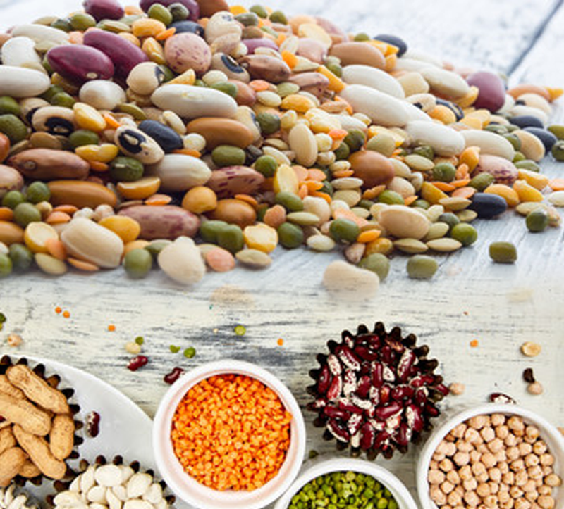 Grain Port Inc | International Exporter Of Pulses And Commodities
